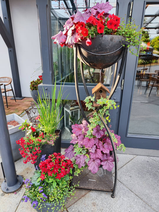 Sonstiges Spirit & SPA Hotel Birkenhof am Elfenhain