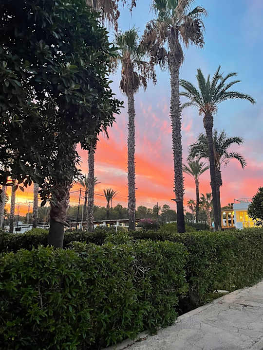 Gartenanlage Cala Llenya Resort Ibiza