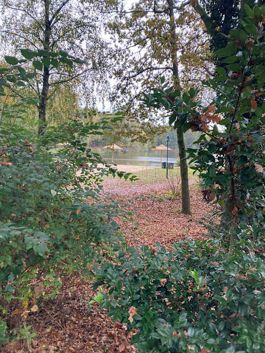 Außenansicht Center Parcs Het Heijderbos