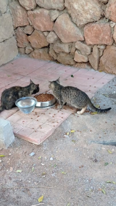 Sonstiges Oscar Resort Hotel