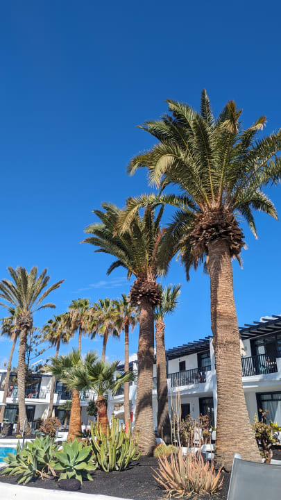 Gartenanlage Bungalows & Appartements Playamar