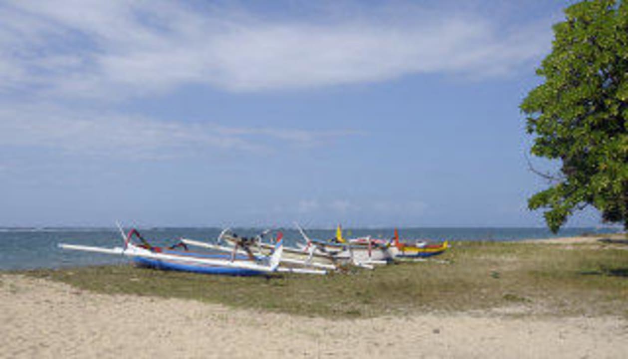 Strandbereich rechts von der Villa Shanti Villa Shanti Beach