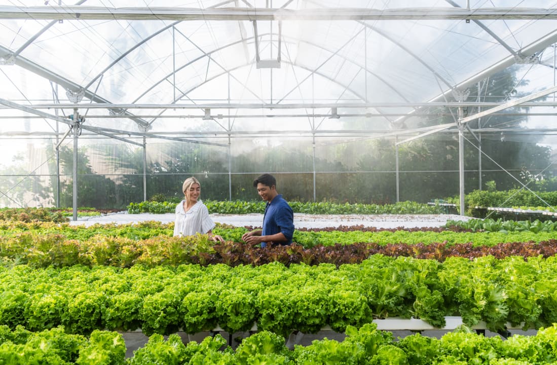 Gartenanlage Le Meridien Maldives Resort & Spa