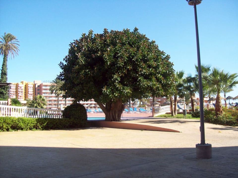 Hotel Siroco Hotel Best Siroco