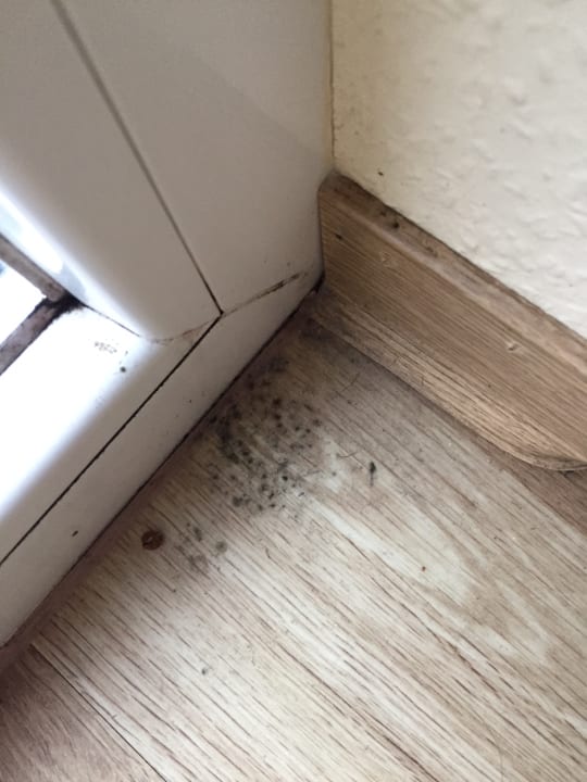 Zimmer Center Parcs Park Bostalsee