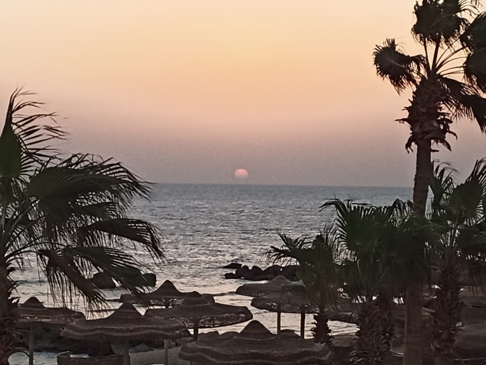 Ausblick Pickalbatros Citadel Resort