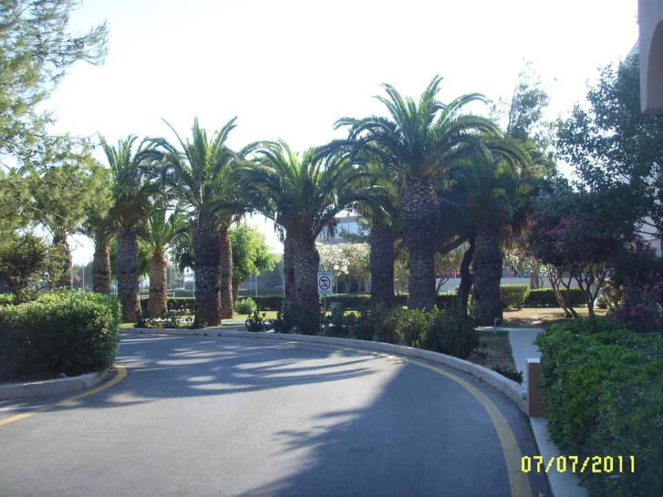 Vorplatz Ialyssos Bay