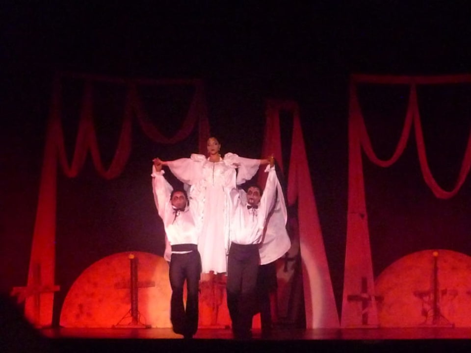 Show am Abend TRS Turquesa Hotel - Adults only