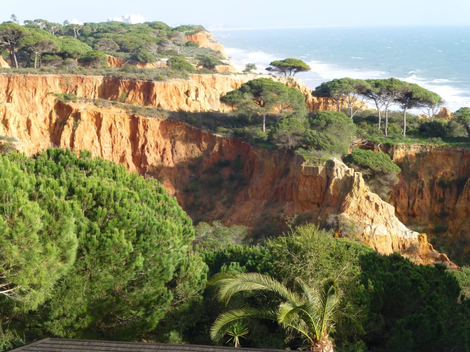 Oberhalb der Klippen PortoBay Falésia