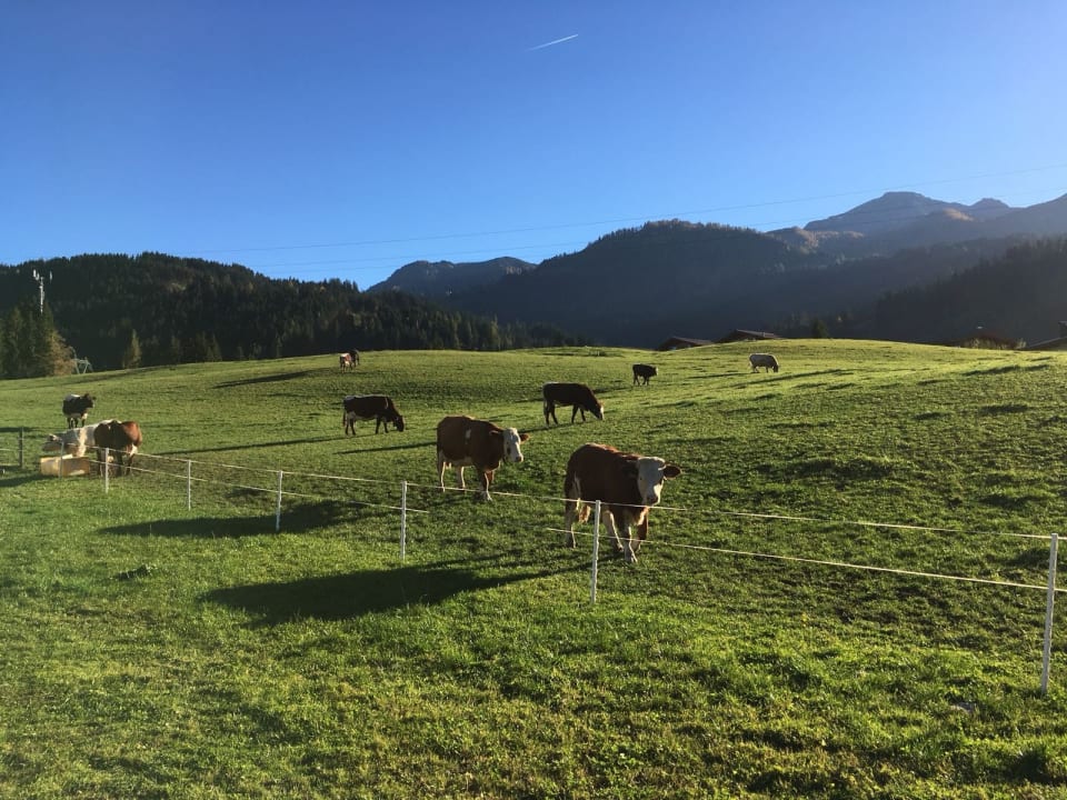 Sonstiges Bodenhof