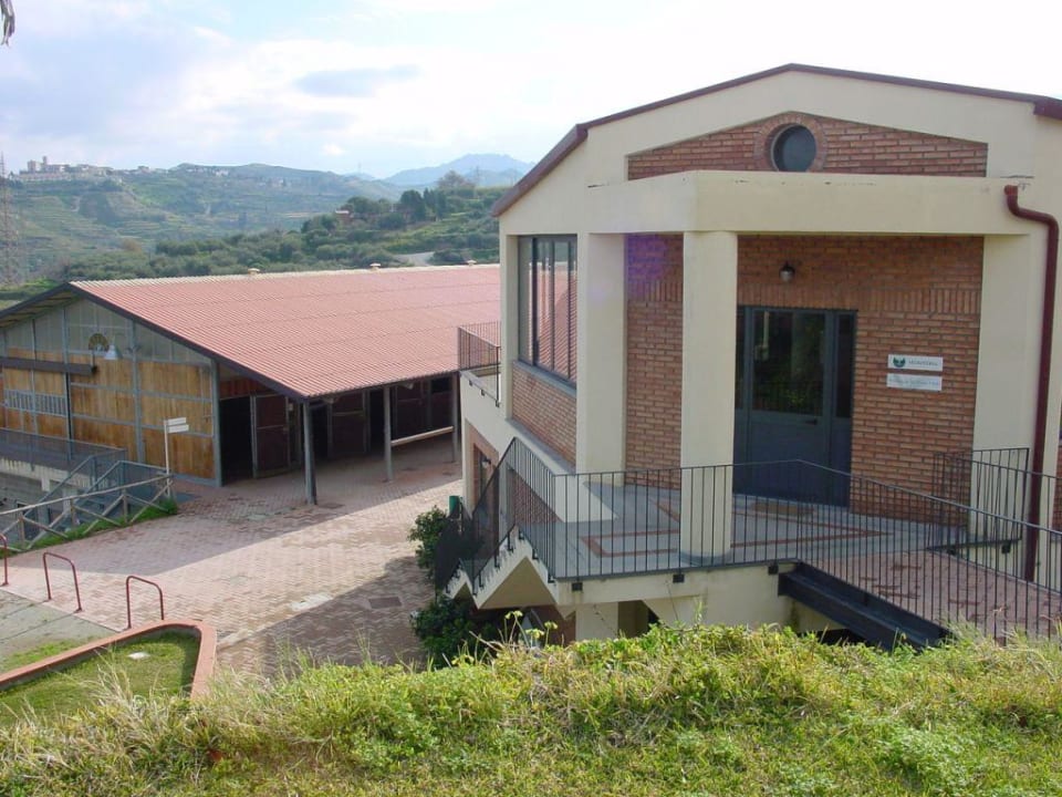 Il Parco degli Ulivi Il Parco Degli Ulivi