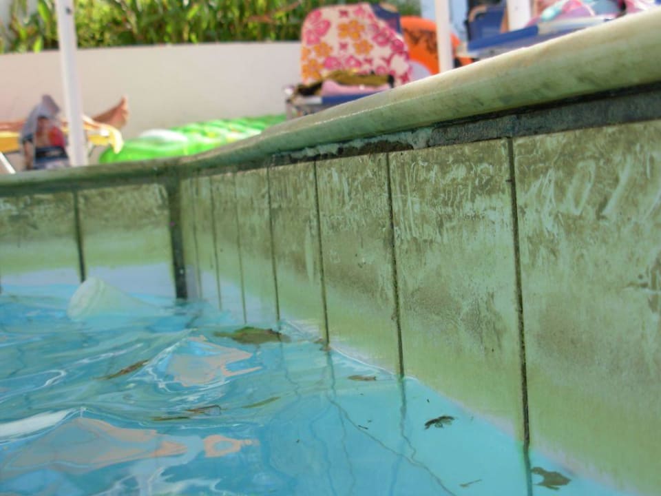 Czystość w basenie hotelowym Hotel Serita Beach