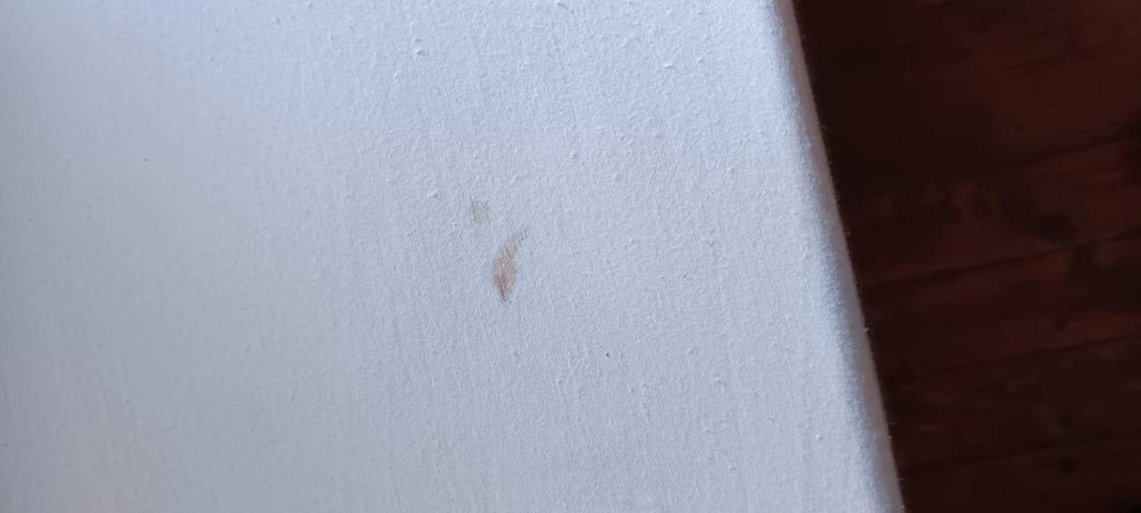 Sonstiges Clover Magic Nova Beach