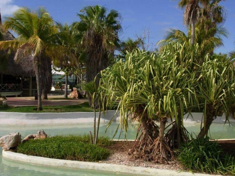 Garten Royalton Hicacos Resort & Spa - Adults only