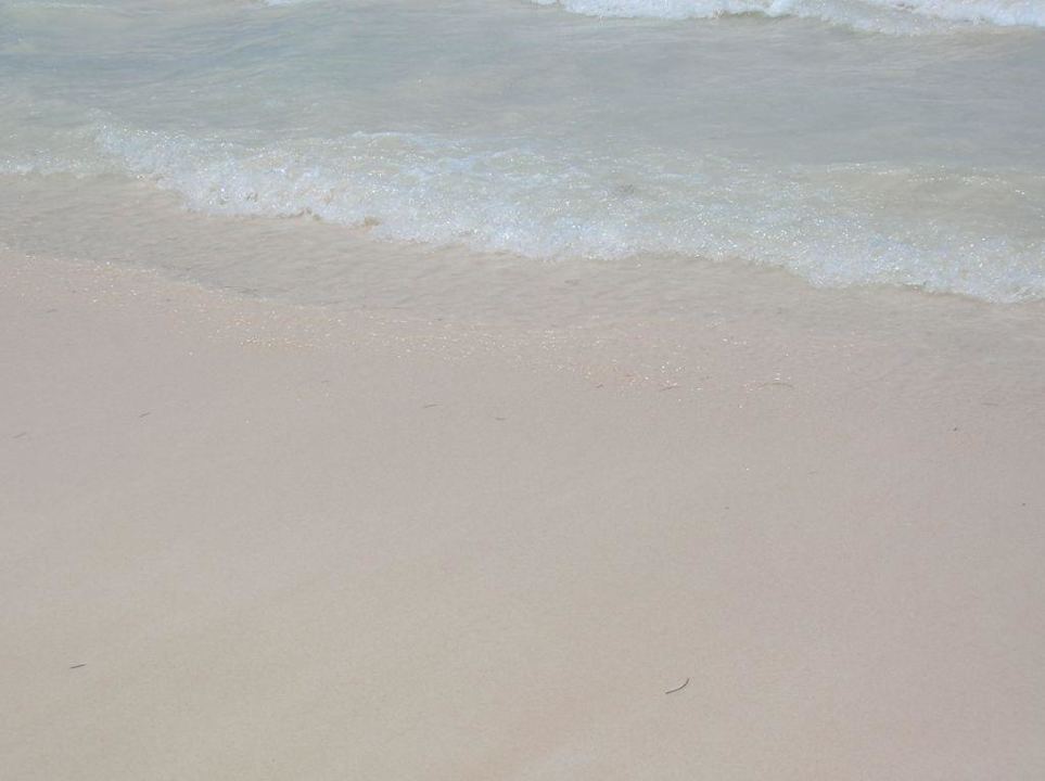 kristallklares wasser im Palladium Grand Palladium Select Bávaro Resort & Spa