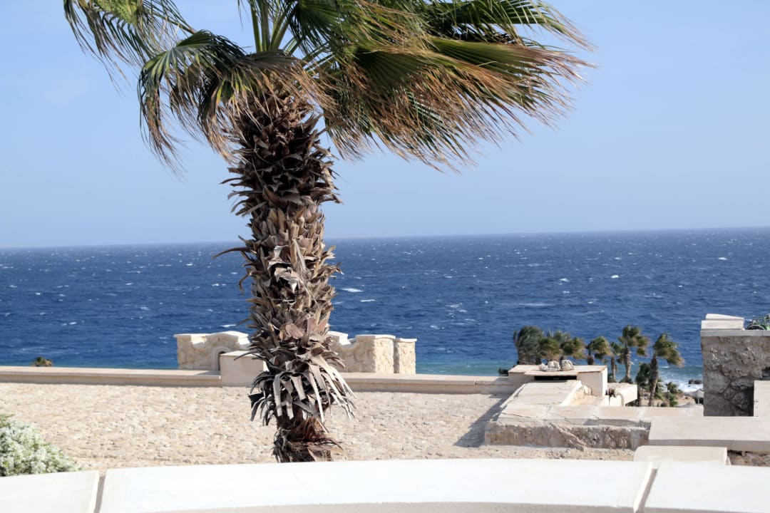 Ausblick allgemein Pickalbatros Citadel Resort