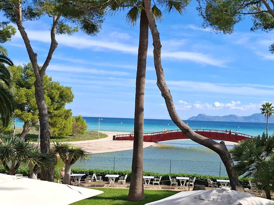 Ausblick allsun App.-Hotel Orquidea Playa