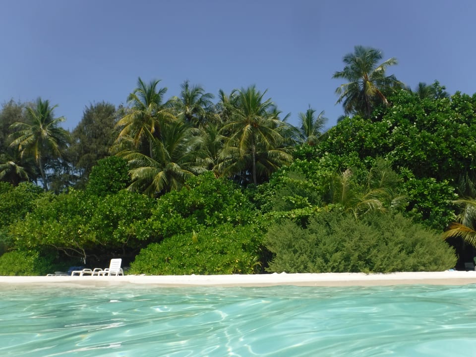 Strand Biyadhoo Island Resort