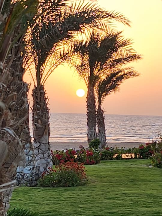Gartenanlage Coral Sun Beach