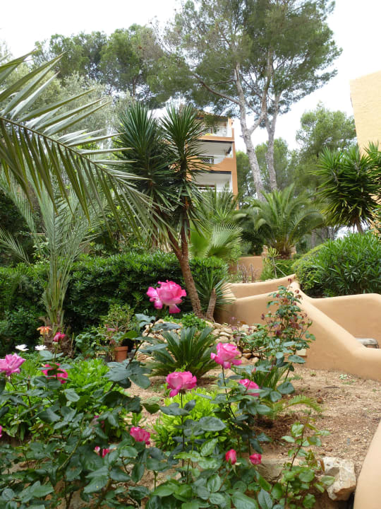 Die Hotelanlage Hotel Aldea Cala Fornells 2