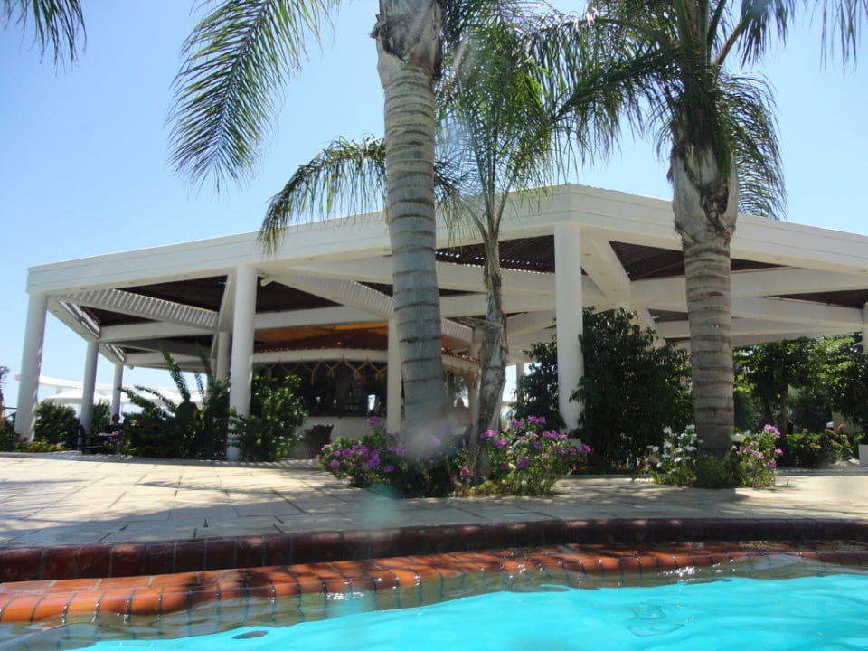 Blick aus dem Pool auf die Poolbar Hotel Calypso Beach