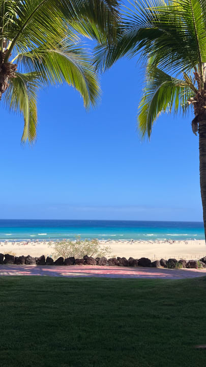 Zimmer Iberostar Selection Fuerteventura Palace