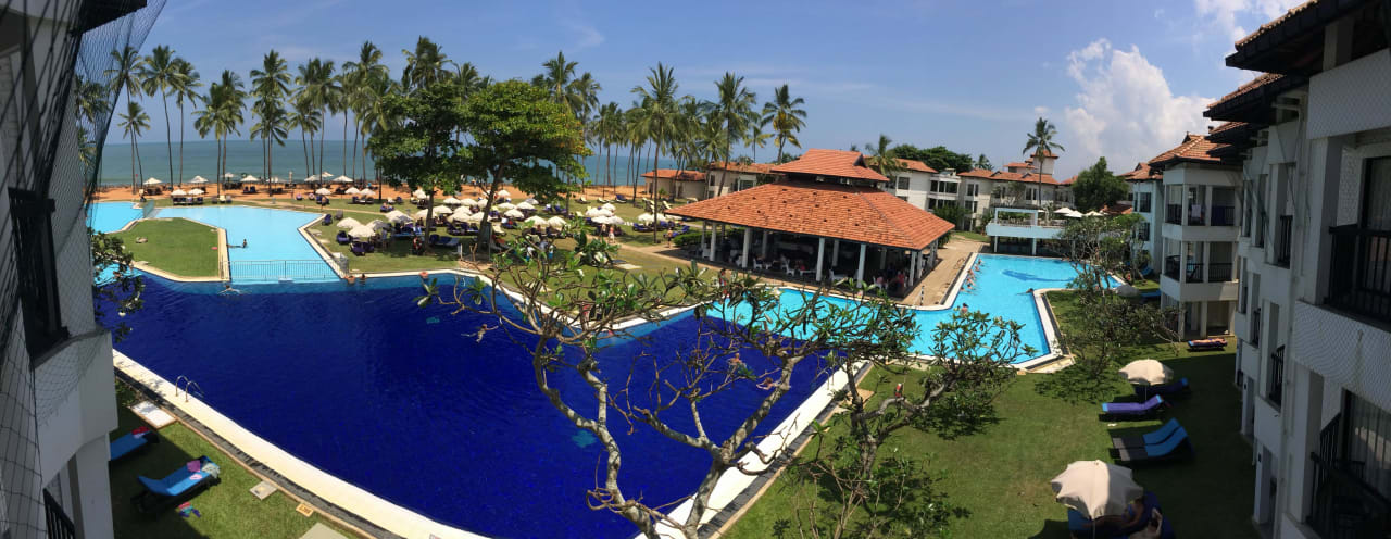 Pool Club Hotel Dolphin