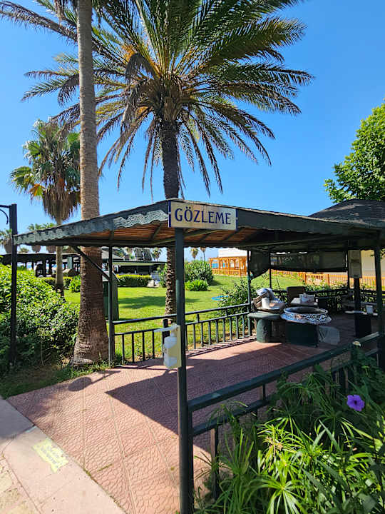 Gartenanlage Royal Atlantis Beach Hotel