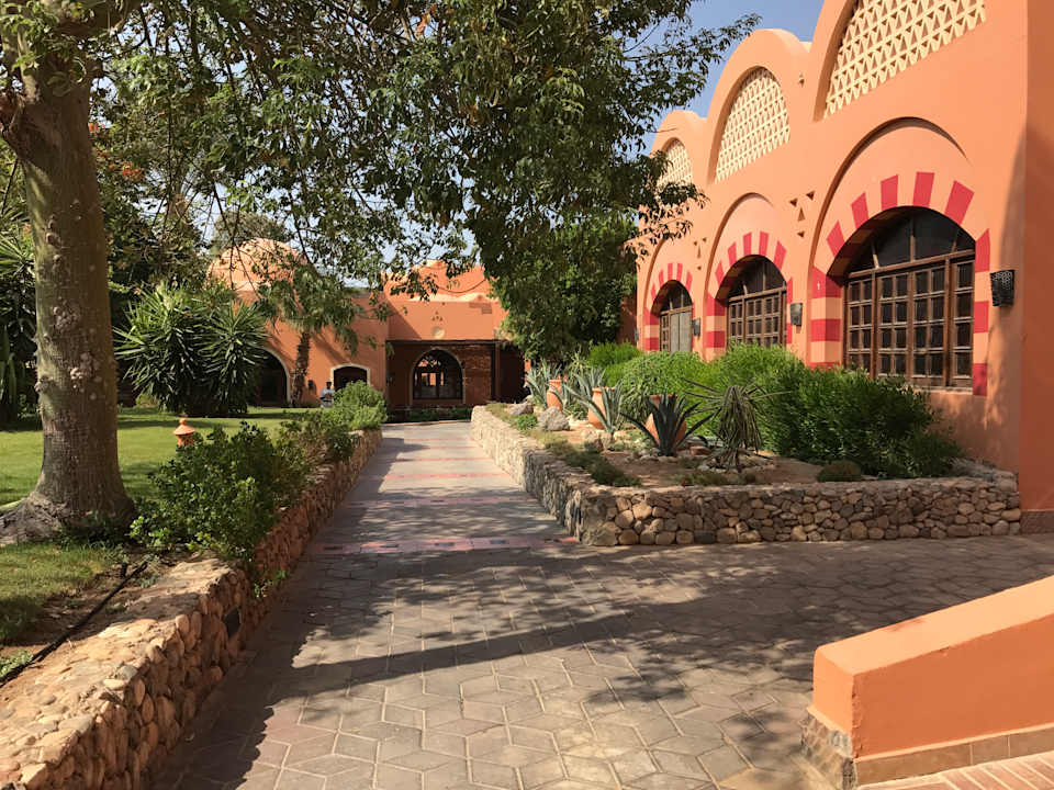 Außenansicht Jaz Makadi Oasis Resort