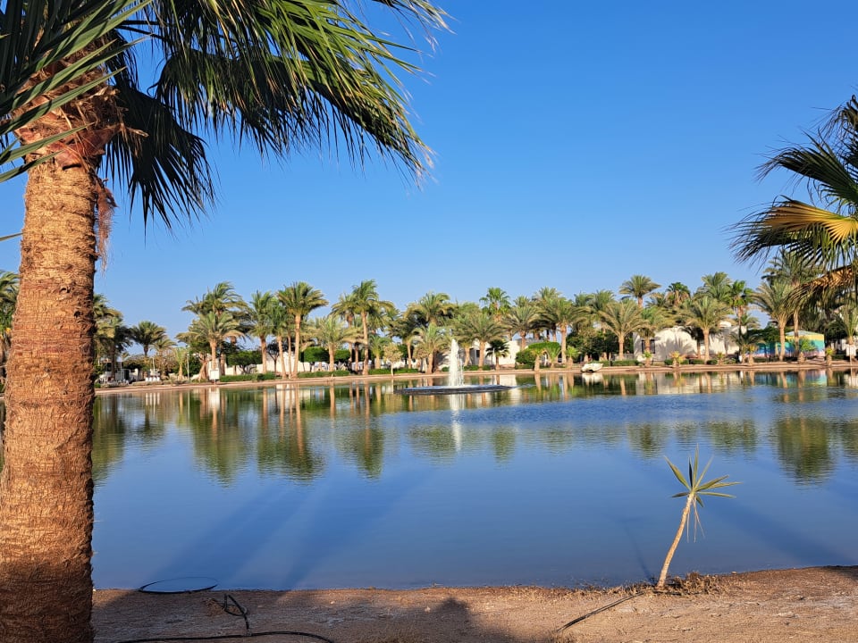 Gartenanlage Pharaoh Azur Resort