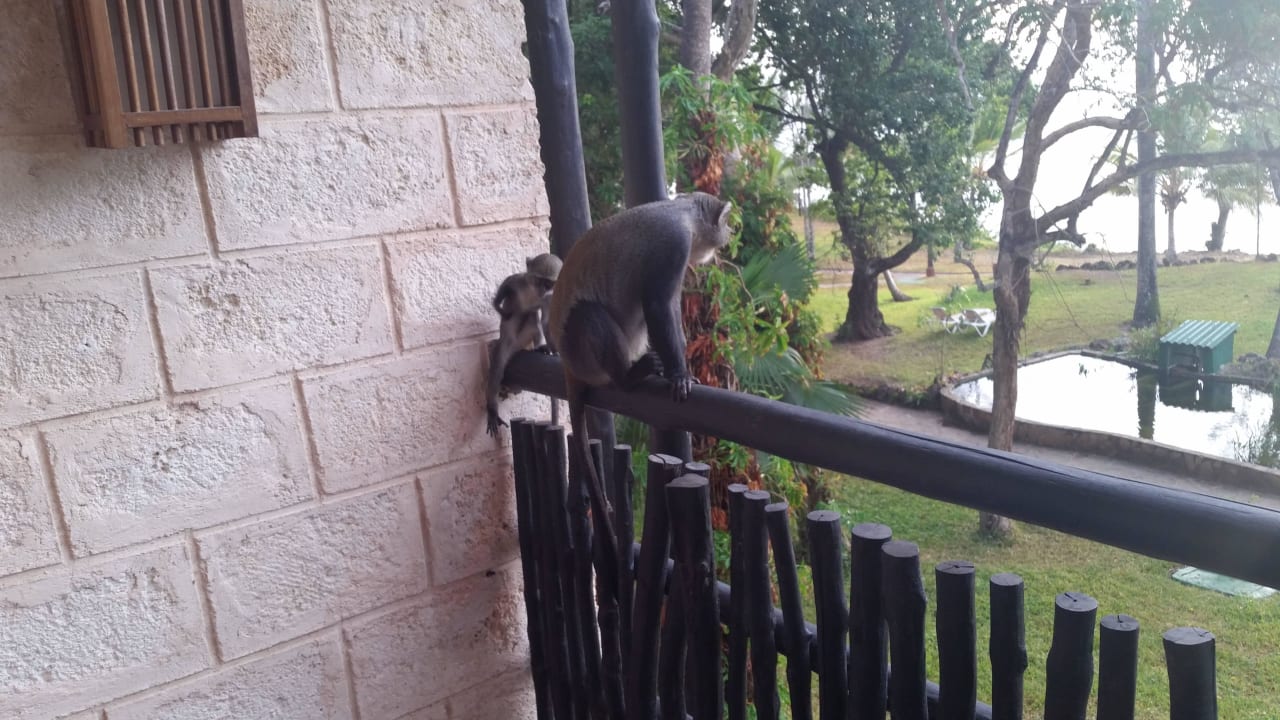 Hotel Baobab Beach Resort Baobab Beach Resort & Spa