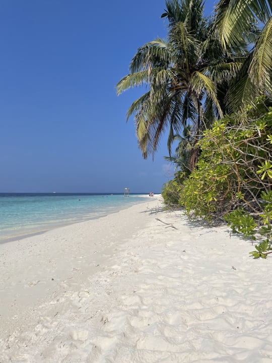 Strand Fihalhohi Maldives