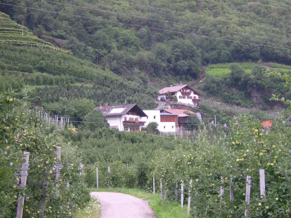 Außenansicht Oberbrunnhof Ferienwohnungen