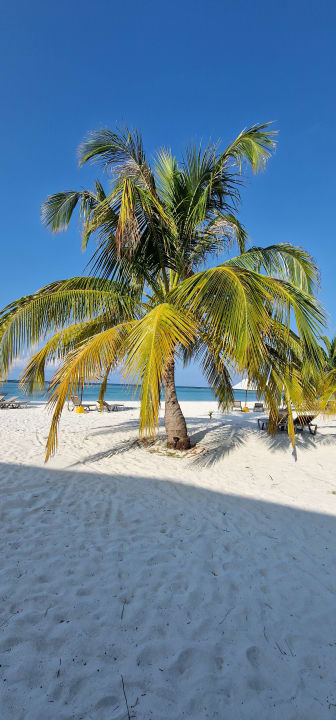 Strand Adaaran Select Meedhupparu Island Resort - Premium All Inclusive