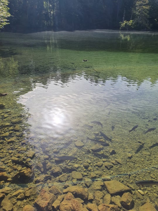 Gartenanlage Hotel Am Badersee