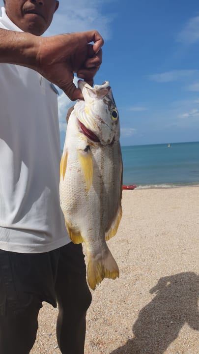 Strand The Ritz-Carlton, Koh Samui