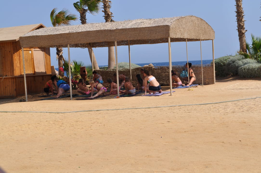 Animations Haus Pickalbatros Citadel Resort