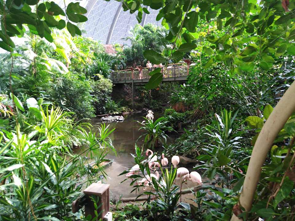 Gartenanlage Tropical Islands Resort