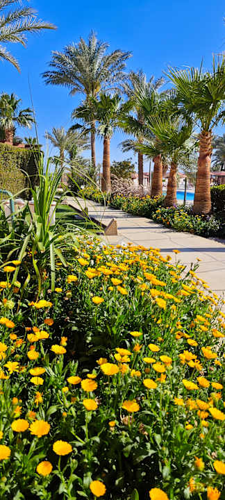 Gartenanlage Shams Prestige Abu Soma-Adults Only