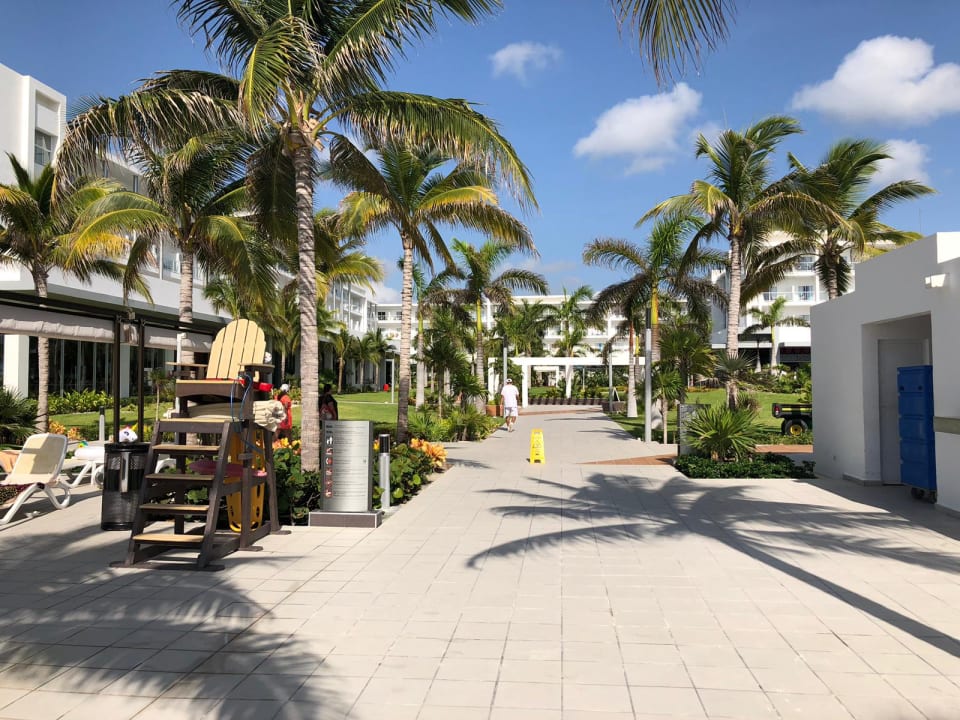 Gartenanlage Hotel Riu Dunamar