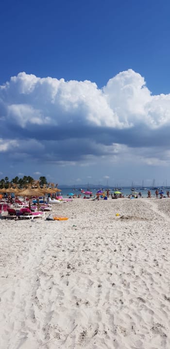 Strand Alcudia Garden Aparthotel