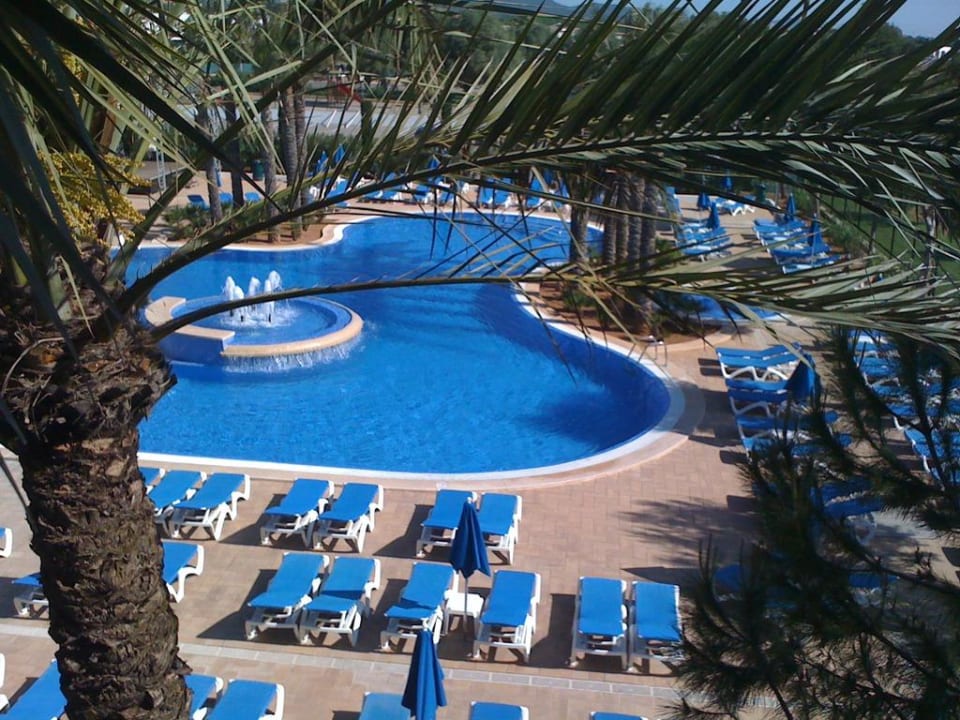 Pool Jaz Makadi Oasis Resort