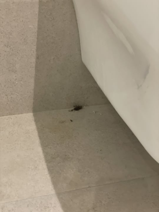 Zimmer Steigenberger Resort Ras Soma