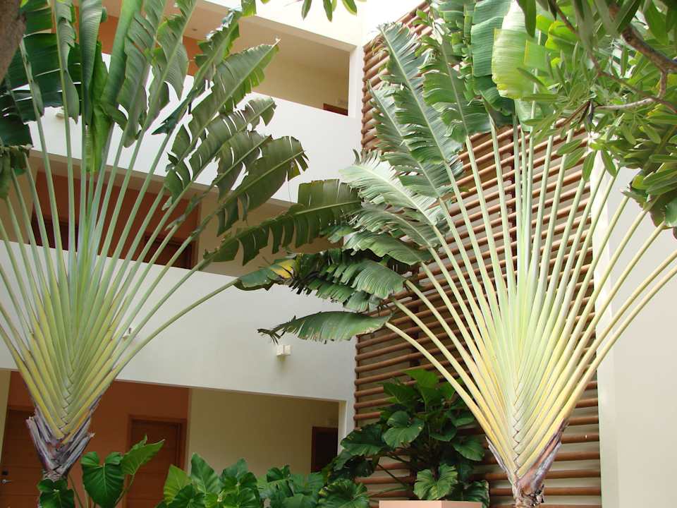 Garten Secrets Royal Beach Punta Cana - Adults only