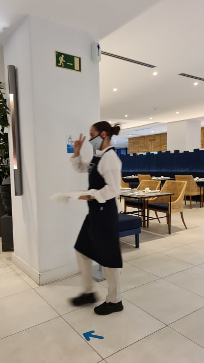 Zimmer Dreams Jardín Tropical