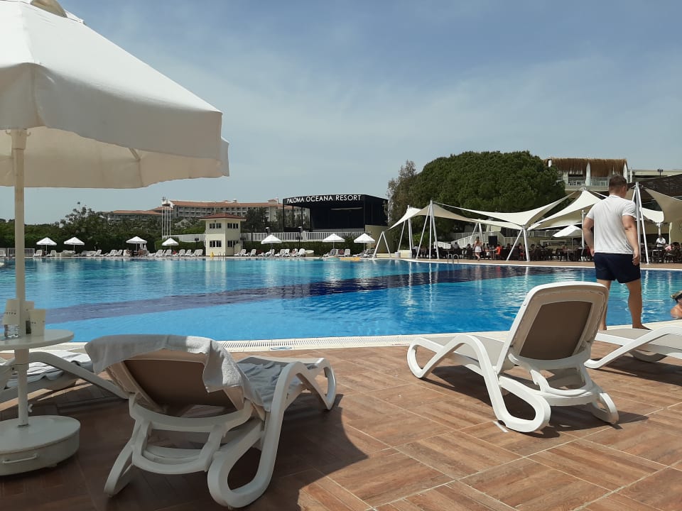 Pool Paloma Oceana