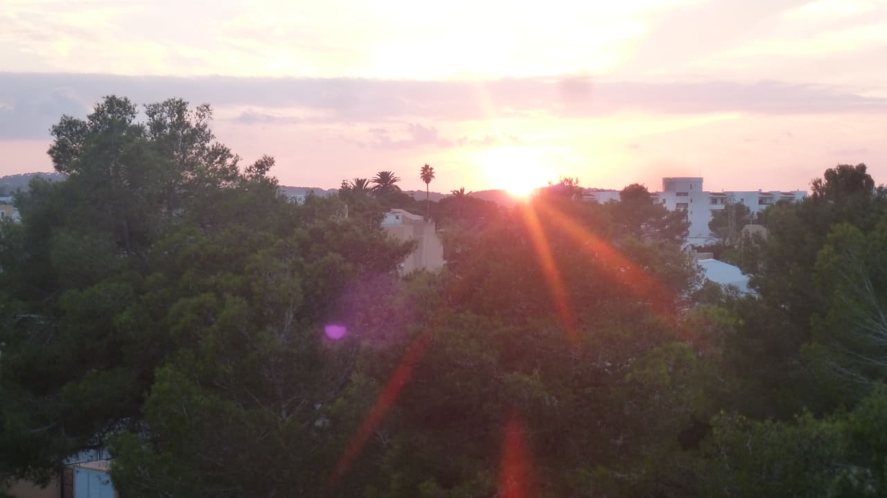 Zimmer Els Pins Resort & Spa