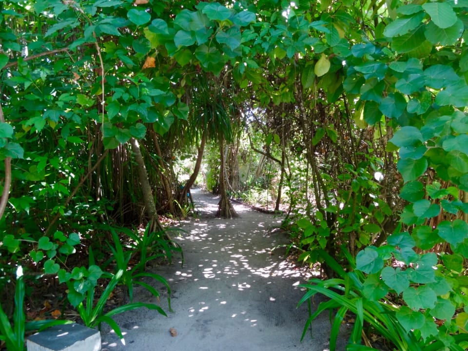 Wege im Inselinneren NH Collection Maldives Havodda Resort
