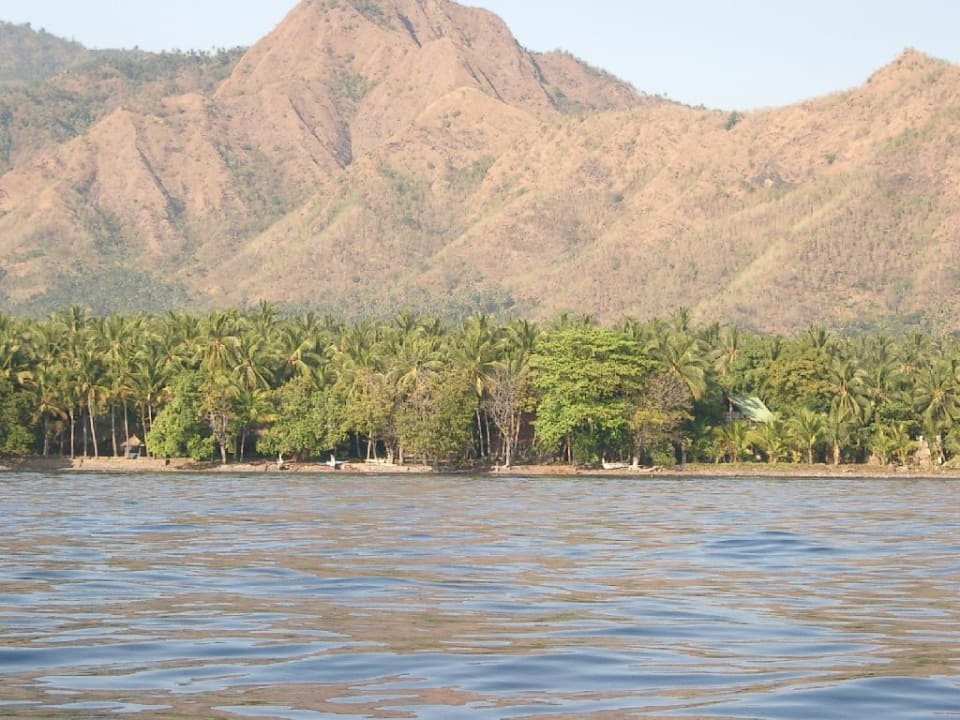 Hotelanlage vom Meer aus Hotel Gaia Oasis