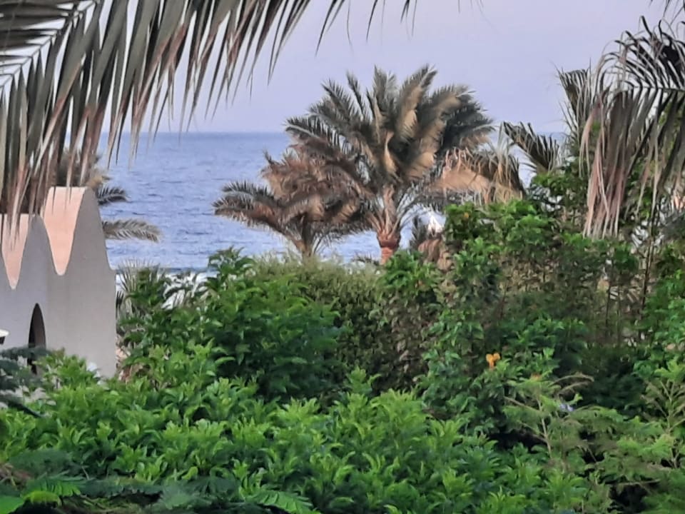 Ausblick Radisson Blu Resort, El Quseir